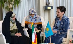 دیدار معاون رئیس جمهور با مقام قزاقستانی در نیویورک