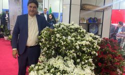 ساری و رویداد بزرگ نمایشگاه گل و گیاه شمال کشور