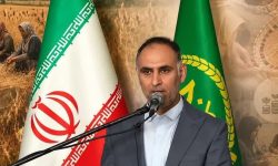 فعالیت ۹۳ صندوق خرد زنان روستایی در مازندران